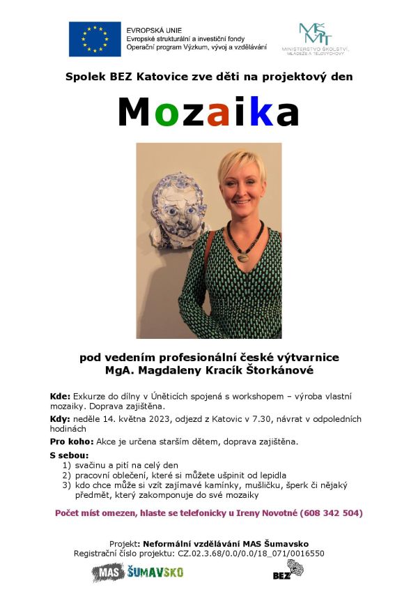 Mozaika FIN