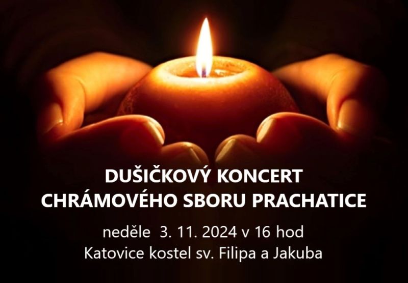 dusicky 2 11 2024